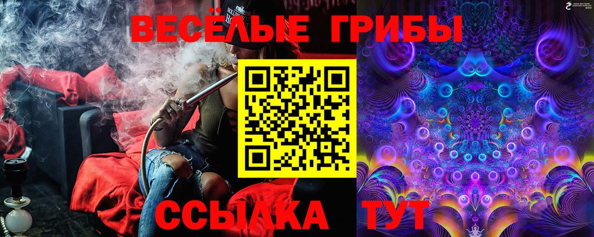 Галлюциногенные грибы мухоморы  Галлюциногенные грибы MAGIC MUSHROOMS  Баксан  Вход с VPN 