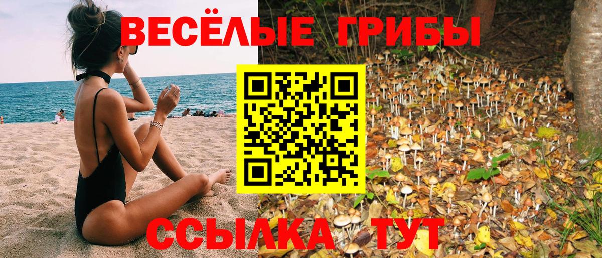 Галлюциногенные грибы MAGIC MUSHROOMS Баксан